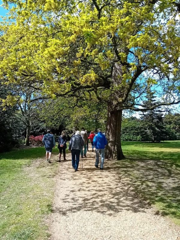 Spring Colour Walk with Toby